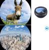 Apexel 10-in-1 Camera Lens Kit