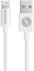 Champion Lightning Cable - 1 meter